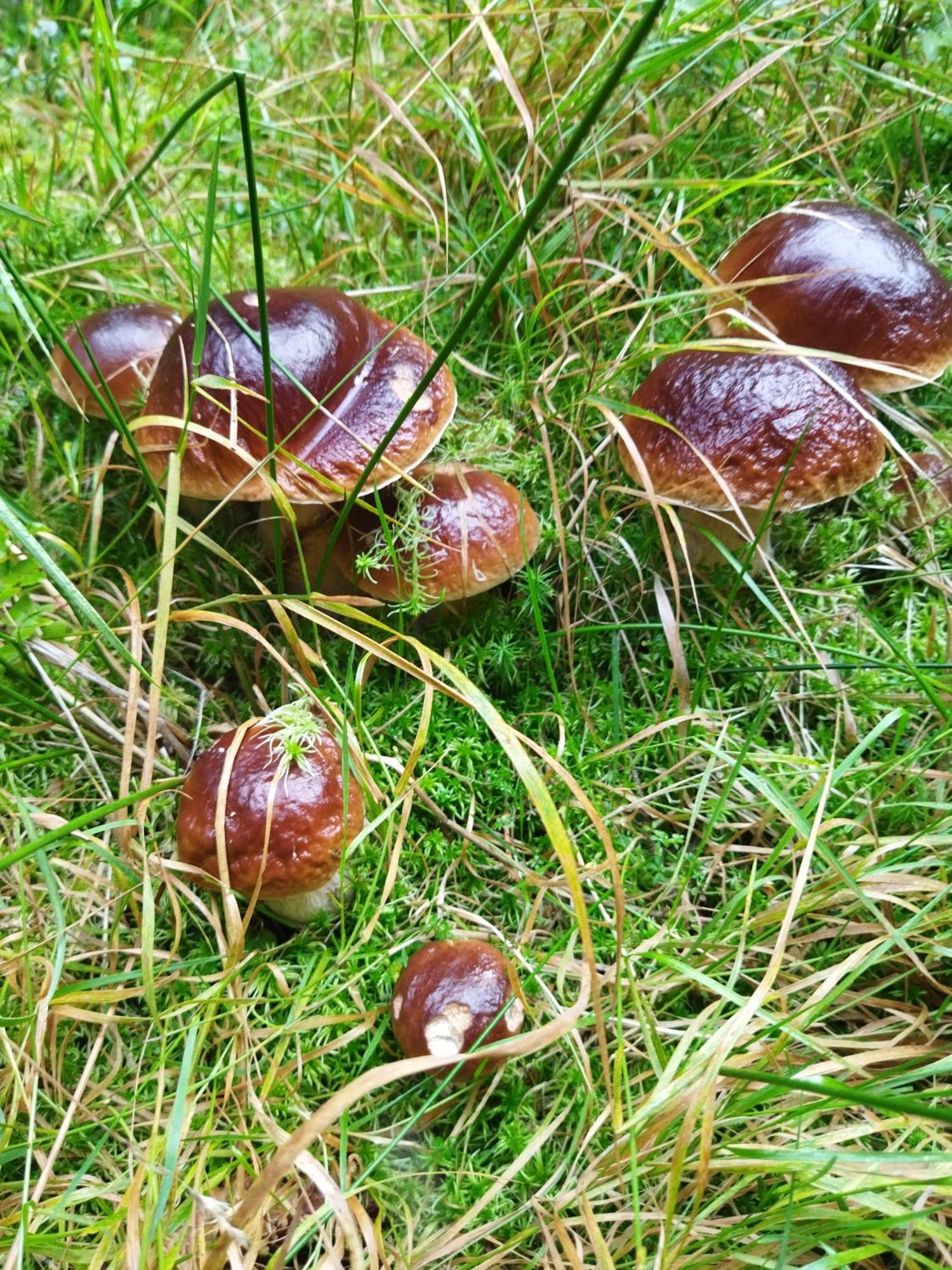 Agroturystyka Teosiowo Pobiedna Ngoại thất bức ảnh